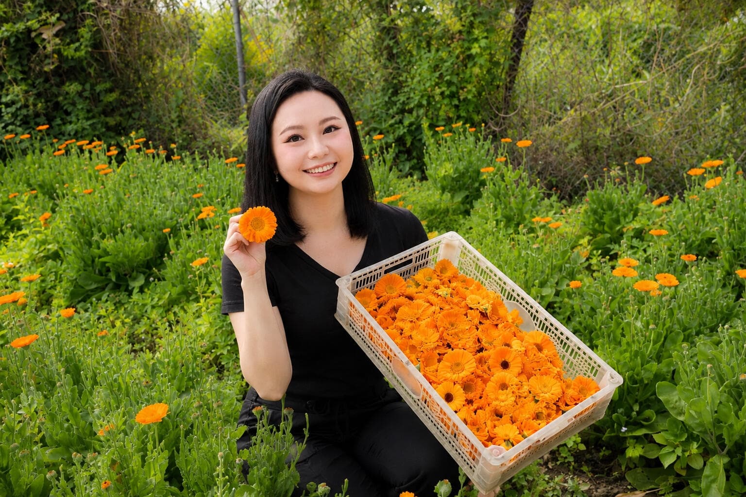 Founder Louise Cheung — IFA (UK) certified international aromatherapist